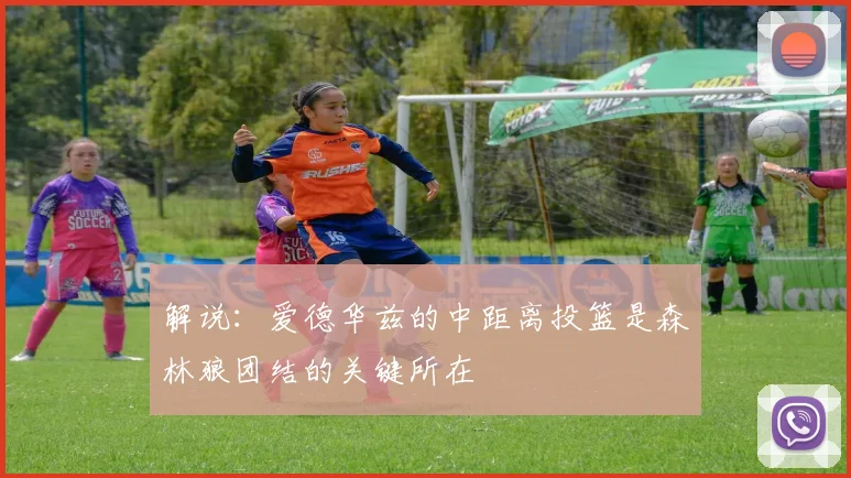 解说：爱德华兹的中距离投篮是森林狼团结的关键所在