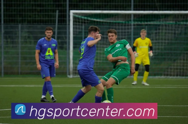 皇冠体育平台生态图